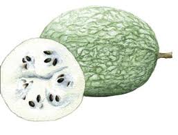 cucurbita-ficifolia.jpg