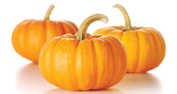 zucca-pequeqa-1-e1510169079544.jpg